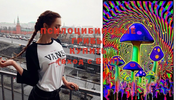 прущая мука Бородино